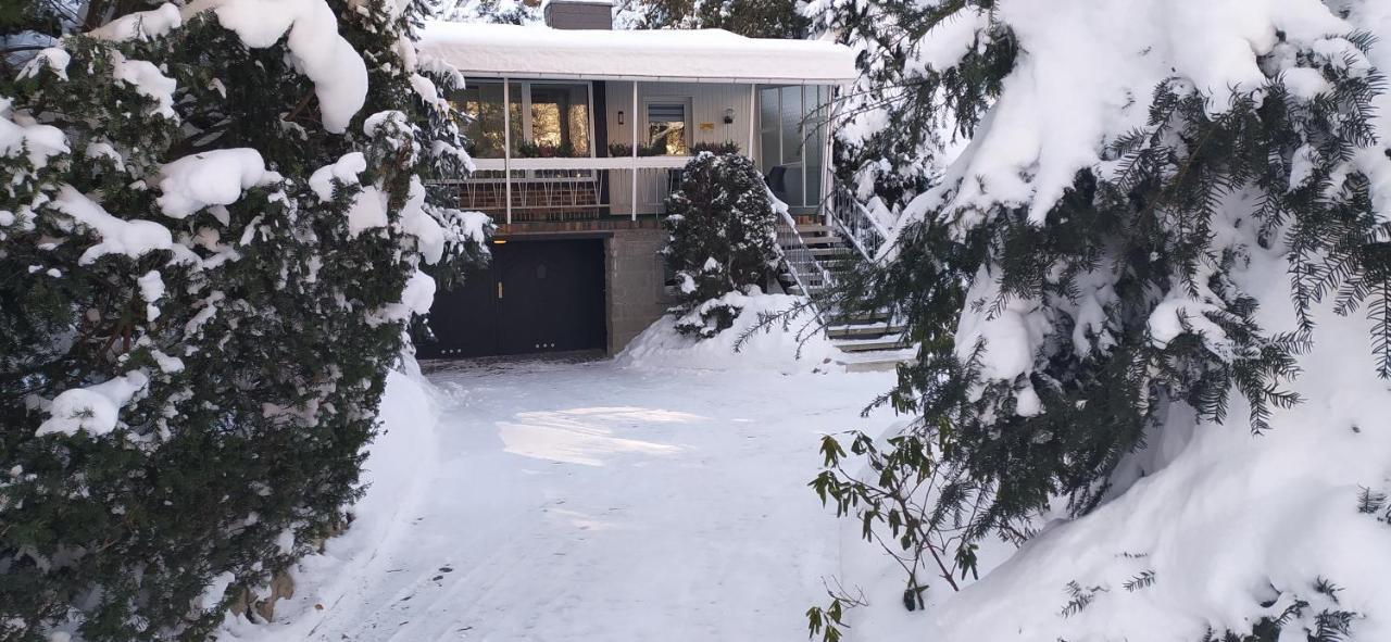 Ferienhaus Giesela **** 베르니게로데 외부 사진